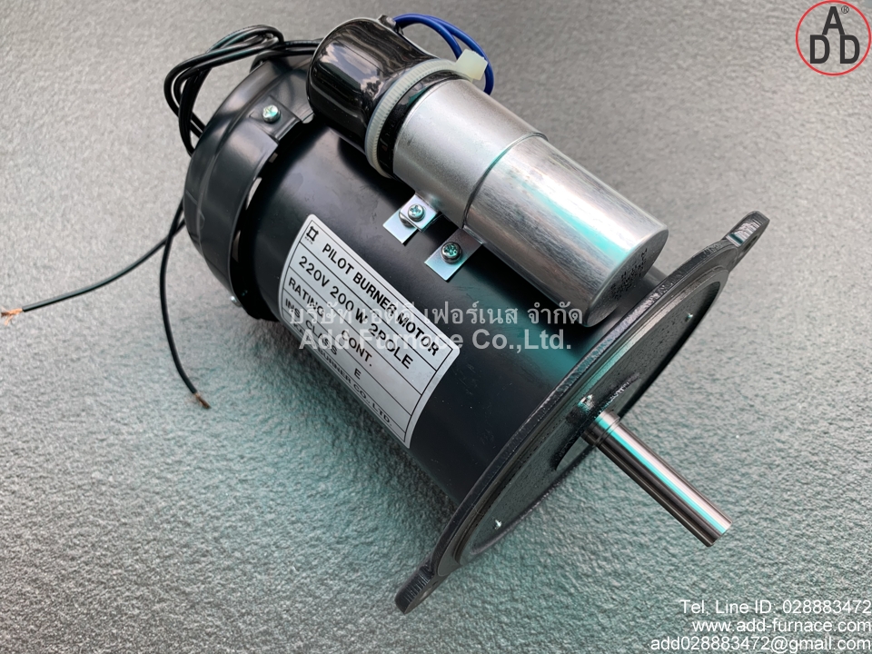 Pilot Burner Motor 220V 200W 2Pole (11)